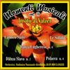 Jean Boulanger - Momenti Musicali: Vol.16 Invito Al Valzer - Cd