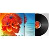 Riccardo Cocciante - Ho Vent'anni Con Te - Vinile (digipack)
