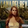Polydor Audio Cd Nuovo - Lana Del Rey - Born To Die - The Paradise Edition -I- Polydor