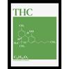 Pyramid Gadget - Drug Science (Thc) Collector Print (Framed) - Pyramid
