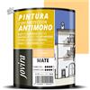 Pittura Antimuffa Muri Opaca Grano 750ml Previene Muffe Interni Professionale