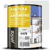 Pittura Antimuffa Professionale Pareti Muri Interni Opaca 750ml Colore Perla Gri