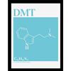 Pyramid Gadget - Drug Science (Dmt) Collector Print (Framed) - Pyramid