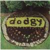 Audio Cd Nuovo - Dodgy - Ace A's & Killer B's -I- Universal Music