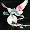 Il Giro Strano - Il Pianeta Della Verita' - Cd