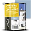 Pittura Antimuffa Professionale Pareti Muri Opaca Bianca 750ml Interno Esterno