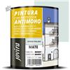 Pittura Professionale Antimuffa Verde Pallido Opaca 750ml per Interni