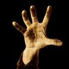 System Of A Down - System Of A Down - Cd