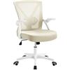 Yaheetech Sedia da Ufficio Scrivania Ergonomica Lombare Portata 136 kg Beige