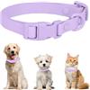 FEimaX Collare Cane Impermeabili Collare per Cani di Piccoli Media Grande Taglia, Collares in PVC Resistente Regolabile con Anello a D Perfetto per Gatti Cuccioli e Animali Domestici (Viola, M)