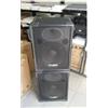 Lem Coppia diffusori passivi 12" 200 W 8 OHM (Usate) Lem LPS 12 PLUS
