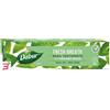 CONCESSIONARIA ITALIA SNC DABUR DENTIFRICIO BASILICO SANTO BIO 100 ML