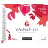 ZUCCARI SRL WATER FIRST MELOGRANO-LITCHI-GOJI 12 STICK PACK