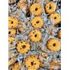 Generico Biscotti Monoporzione Con Gocce Di Cioccolato Snack Dolci Buffet Eventi Varianti 1Kg E 2Kg Confezionati Singolarmente Ideali Per Feste Coffee Break Catering Dessert (2Kg)