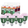 OSRAM LED Star Grow Lamp T 60 10W Clear E27