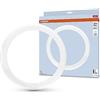 OSRAM LED TUBE T9C EM 32, tubo LED circolare, 18.3W, 2200lm, 4000K, luce bianca fredda, alternativa LED alle classiche lampade fluorescenti T9, lunga durata, basso consumo energetico