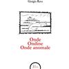 Segni E Parole Libro - Giorgio Rava - Onde Ondine Onde Anomale - Segni E Parole