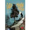 Gallucci Libro - Gigliola Alvisi / Maurizio Furini - Il Lago Maledetto - Gallucci