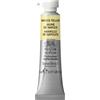 Acquerello Professionale Winsor Newton Giallo Napoli Tubo 5ml Colore Pittura