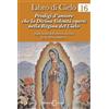 Edizioni Segno Libro - Luisa Piccarreta - Libro Di Cielo 16. Prodigi D'Amore Che La Divina Volo