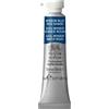 Acquerello Winsor Newton Professional Blu Tubo 5ml Colore Pittura Artistico