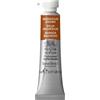 Acquerelli Professionali Winsor Newton Tubo 5ml Colore Bruno Di Manganese