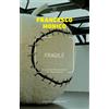 Meltemi Libro - Francesco Monico - Fragile. Un Nuovo Immaginario Del Progresso - Meltem