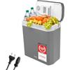 TZS First Austria - Frigorifero portatile 24L elettrico 12V 230V presa per auto e standard - Frigo termoelettrico raffredda e riscalda - Coolbox con manico - Per campeggio, festival, viaggi - Grigio