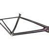 Generico Compatibile con la Coda Rigida in Carbonio 29er 2023 | Boost 148mm, predisposizione Di2, passaggio cavi interno