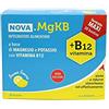 NOVA ARGENTIA Nova Integratore Magnesio Potassio Aroma Limone Argentia Mgkb, 30 Bustine