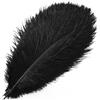 QBilooty 5 Pezzi Piume di Struzzo Decorative, per Abiti, la Decorazione della Casa e del Matrimonio, Vasi DIY, Lunghe (Nero)