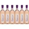 Grand Sud - Merlot Rosé, Vino Rosato Francese, Formato Piccolo (6 x 0,25 L)