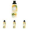 L'Angelica - Shampoo, Nutriente, Pappa Reale e Olio di Oliva - 250 ml (Confezione da 4)