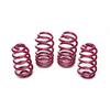 Vogtland Kit Molle Ribassate Tuning Audi A4 T.8E (B6/7) 10.2001>03.2008
