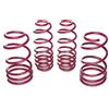 Vogtland Kit Molle Ribassate Tuning Ford Mustang T.S197 2005>2014