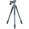 VANGUARD Alta Pro2 263AGH