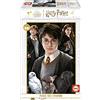 Educa - 1000 Harry Potter Miniature | Puzzle di 1000 pezzi in miniatura per adulti. Misura montata: 30 x 46 cm. Include la colla per puzzle. Da 14 anni (19490)
