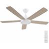 Aigostar Ventilatore da Soffitto Con Luce e Telecomando, Lampadario con Ventilatore da Soffitto con Timer, Luminosità Regolabile e Temperatura Colore 2700K-6500K, 6 Velocità, Silenzioso, Motore DC