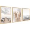 HALFLEMART 3Pcs Stampa su Tela Con Cornice Spiaggia Costiera Oceano Mare Pittura Quadri su Tela Beige Nordico Erba della Pampa Quadri Moderni Soggiorno Camera da Letto Casa 30x40cm x3pcs (Senza Plexiglass)