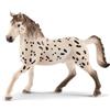 Schleich 13889 Schleich Horse Club 13889 stallone Knabstrupper