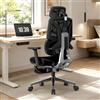 HDHNBA Sedia da Ufficio Ergonomica con Supporto Lombare a 3 Zone e Poggiapiedi, Poggiatesta 4D e Braccioli Regolabili, Sedia Scrivania in Rete per Home Office, Studio e Gaming, Nera