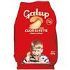 Galup Cuor di Fette 300g - Fette Biscottate con Grani Antichi e Semi - Senza Conservanti - Ricetta Tradizionale Italiana - Made in Italy