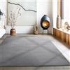 Carpetsale24 Tappeto per Soggiorno 200x290 cm Grigio Lavabile, Pelo Corto, Design Moderno, Monocromatico - Tappeto Lavabile Antiscivolo Extra Morbido e Fluffy per Camera da Letto, Cucina