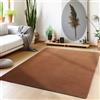Teppium Tappeto per Soggiorno 200x300 (200x290 cm) Marrone Lavabile, Pelo Corto, Moderno Design Monocromatico - Tappeto Lavabile Antiscivolo Extra Morbido e Fluffy per Cucina, Camera da Letto
