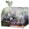 Aquariumline HSJ-400 Paludario in Vetro 40,6x35,5x36,8 cm - Terrario Acquatico con Sistema di Filtraggio Integrato, Ideale per Rettili, Anfibi, Piante e Pesci, Design Robusto e Trasparente