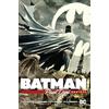 DC Comics Batman by Paul Dini Omnibus