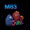 VIDB1 Junk