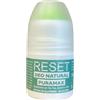 Altagamma Italia S Altagamma Italia Deo Roll On Reset Puramax Deodorante Veg Tea Tree Zenzero Lime 50 Ml