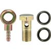 QUARKZMAN 1 Set Banjo Bullone Kit Ferro Bronzato