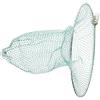 CANIGHT Testa Retino da Pesca in Acciaio Inox e Nylon 30cm, Rete Portatile Verde la Pesca in Torrente o Specchio D'acqua